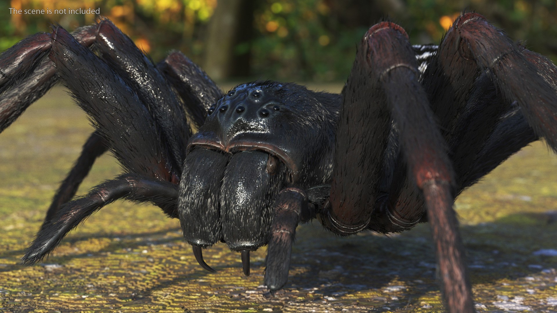 3D Rigged Spiders Collection 3 https://p.turbosquid.com/ts-thumb/RF/PKBe9x/e7/riggedspiderscollection33dsmodel006/jpg/1704402430/1920x1080/fit_q87/3bab9c22b8416808e1d2705f7fa32e2c39e59d3b/riggedspiderscollection33dsmodel006.jpg