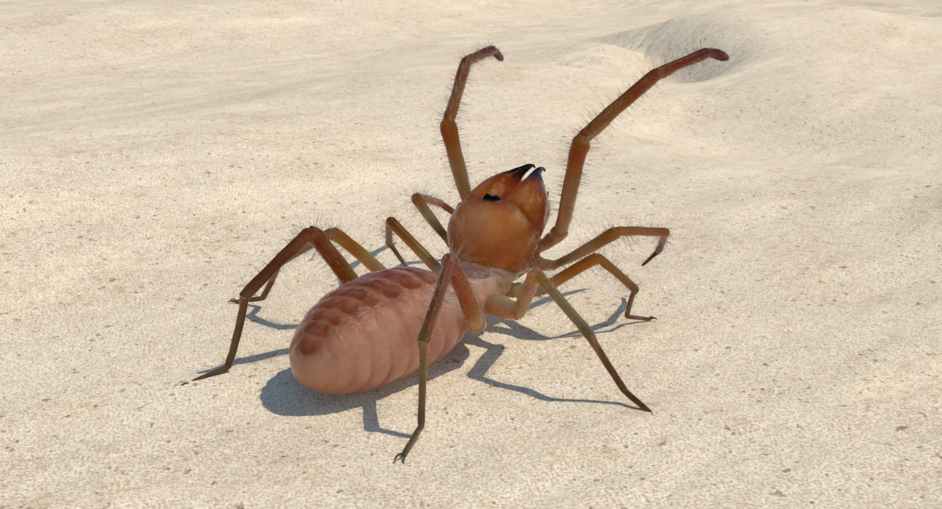 3D Rigged Spiders Collection 3 https://p.turbosquid.com/ts-thumb/RF/PKBe9x/ep/riggedspiderscollection33dsmodel031/jpg/1704402549/1920x1080/fit_q87/c526931e372617ab27b2251f0800deaace286c4e/riggedspiderscollection33dsmodel031.jpg