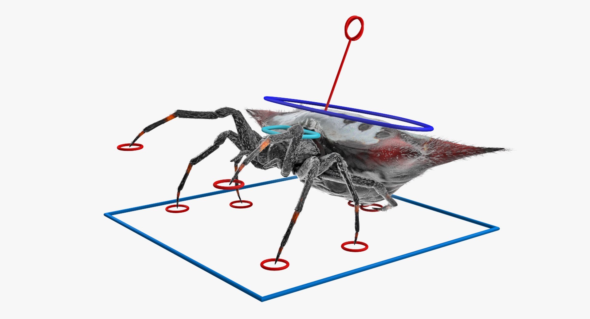 3D Rigged Spiders Collection 3 https://p.turbosquid.com/ts-thumb/RF/PKBe9x/mL/riggedspiderscollection33dsmodel050/jpg/1704402633/1920x1080/fit_q87/2c98d3e852213da805a53f08295cc793ede5d374/riggedspiderscollection33dsmodel050.jpg