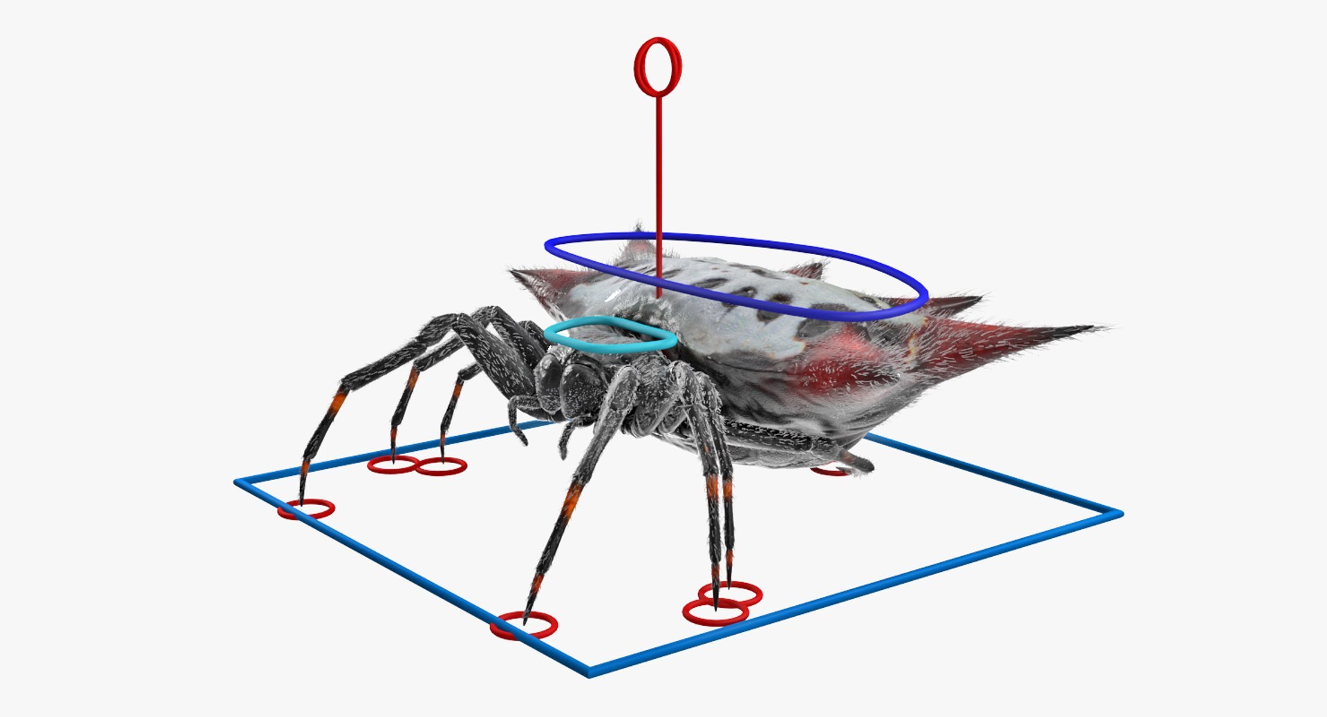 3D Rigged Spiders Collection 3 https://p.turbosquid.com/ts-thumb/RF/PKBe9x/pS/riggedspiderscollection33dsmodel049/jpg/1704402629/1920x1080/fit_q87/2cac0f7895bf50117f1b04390f23e51ffba5aee3/riggedspiderscollection33dsmodel049.jpg