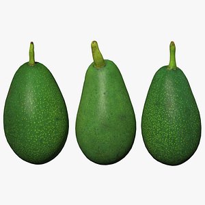 avocado scan 3D model