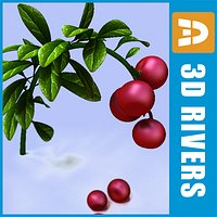 Lingonberry by 3DRivers