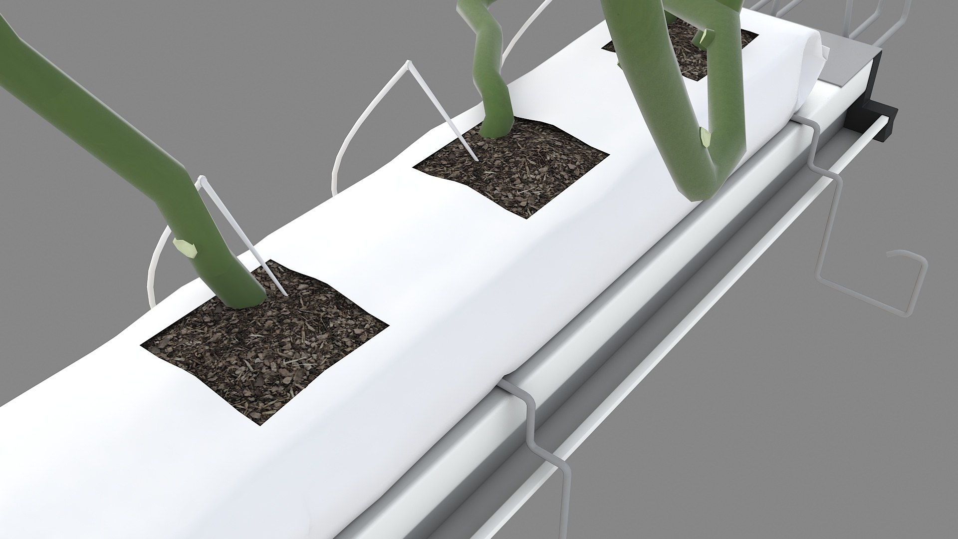Plant Tomatoes 3D model https://p.turbosquid.com/ts-thumb/RF/pl1UBq/5P/planttomatoes10/jpg/1713616363/1920x1080/fit_q87/c8122b3d1c6478594691cf747450b489344858c0/planttomatoes10.jpg