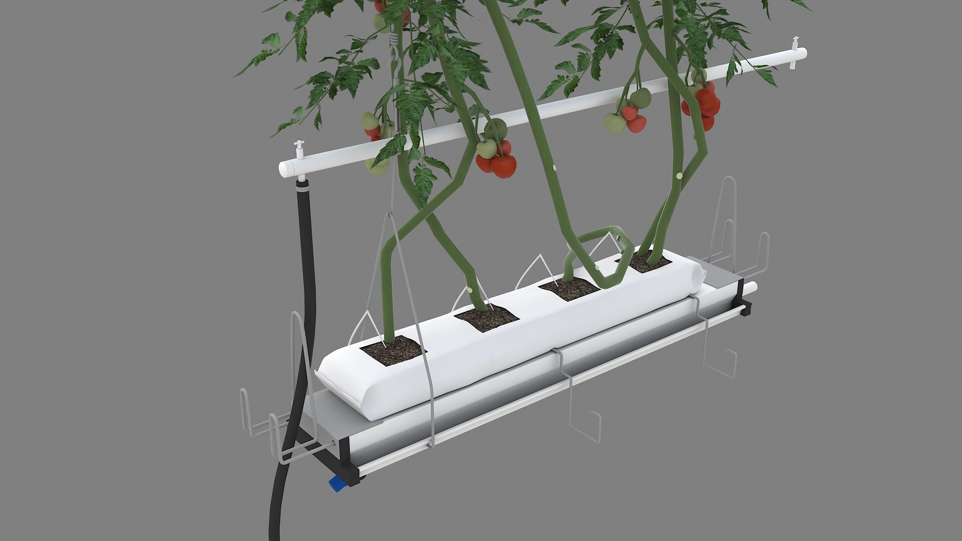 Plant Tomatoes 3D model https://p.turbosquid.com/ts-thumb/RF/pl1UBq/Ns/planttomatoes02/jpg/1713616354/1920x1080/fit_q87/196ee27282f68442f197c4d766f2393e47cae40c/planttomatoes02.jpg