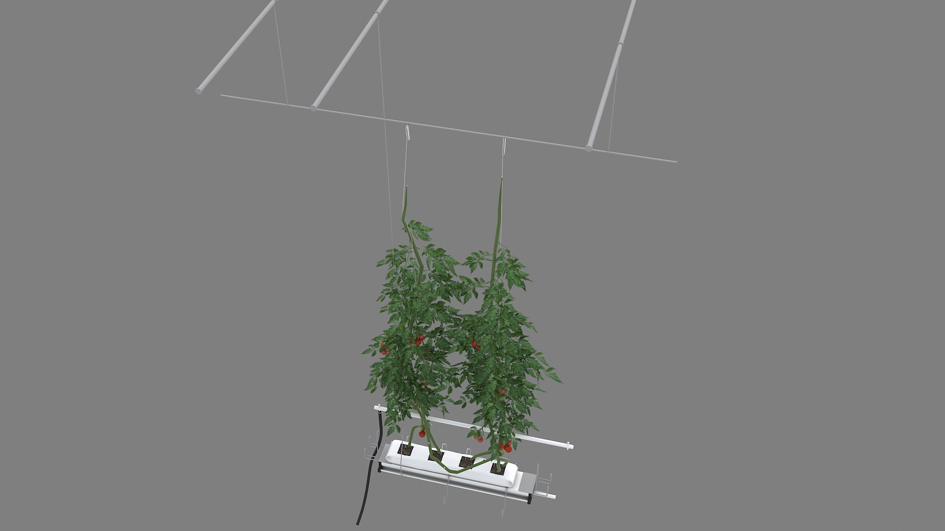 Plant Tomatoes 3D model https://p.turbosquid.com/ts-thumb/RF/pl1UBq/hQ/planttomatoes05/jpg/1713616360/1920x1080/fit_q87/c44af98d154ab6c51fe8d8b3c3eb0127e8fece66/planttomatoes05.jpg