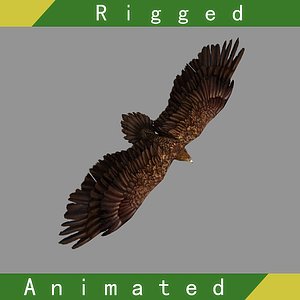 3D model eagle rigged animation