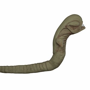 Alien Chestburster PBR Rigged 3D Model
