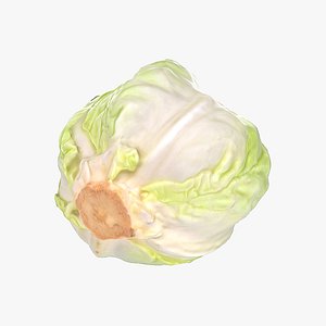 Cabbage