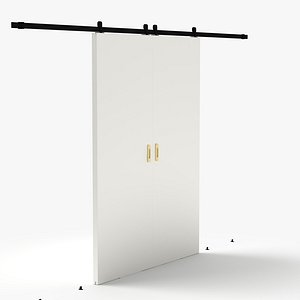 Double Sliding Door
