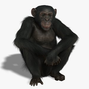 Chimp (RIGGED) (FUR)