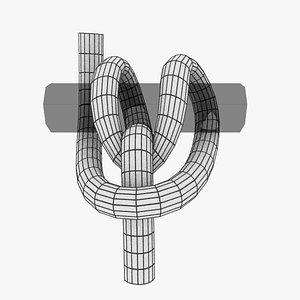 3D knot model