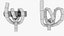 zigzag knot