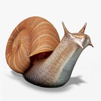 Snail Lowpoly PBR