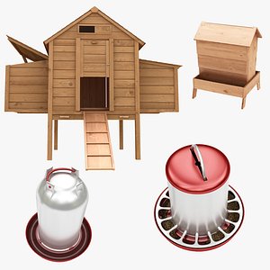 Chicken Coop and Feeders