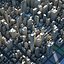 City Skyline Pack