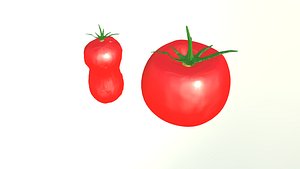 tomato 3D