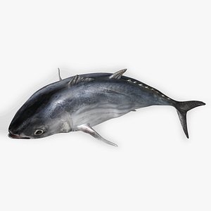 TUNA FISH Rigged L1555