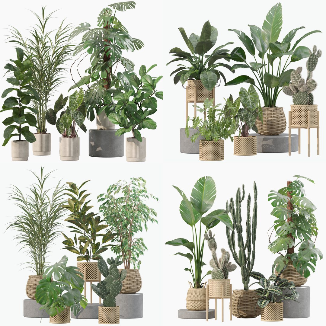 20 Photorealistic Flowers For Interiors - Set 202 206 210 211 3D Model ...