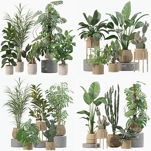 20 Photorealistic Flowers for Interiors - set 202 206 210 211
