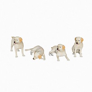 Pets 03(Labrador Retriever)