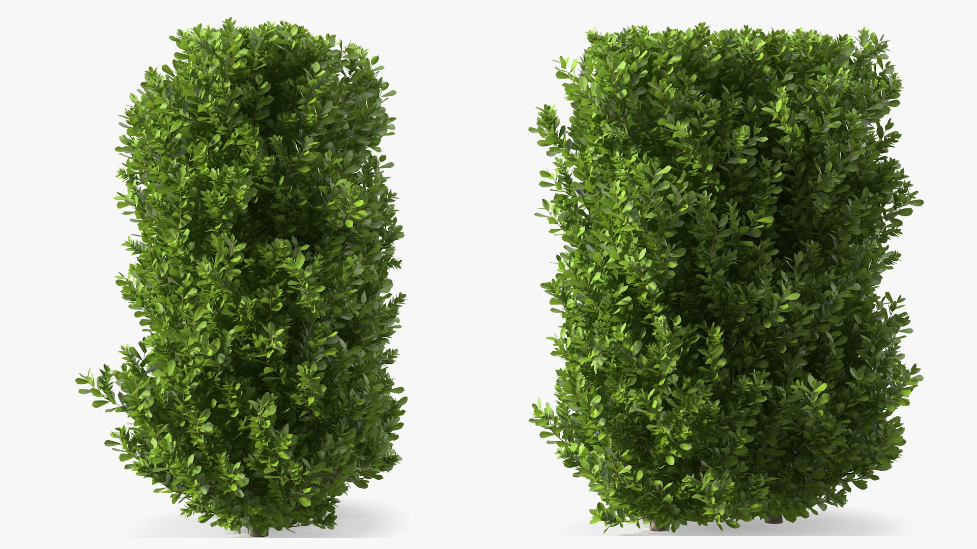 Laurus Collection 3D model https://p.turbosquid.com/ts-thumb/RH/Q3tzDe/cF/laurus_collection_002/jpg/1772683750/1920x1080/fit_q87/54e6c798a54572ef8f93e156e39b8ce41cf5cdd5/laurus_collection_002.jpg