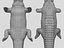Crocodile 