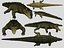 Crocodile 