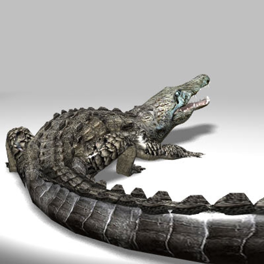 3d realistic crocodile