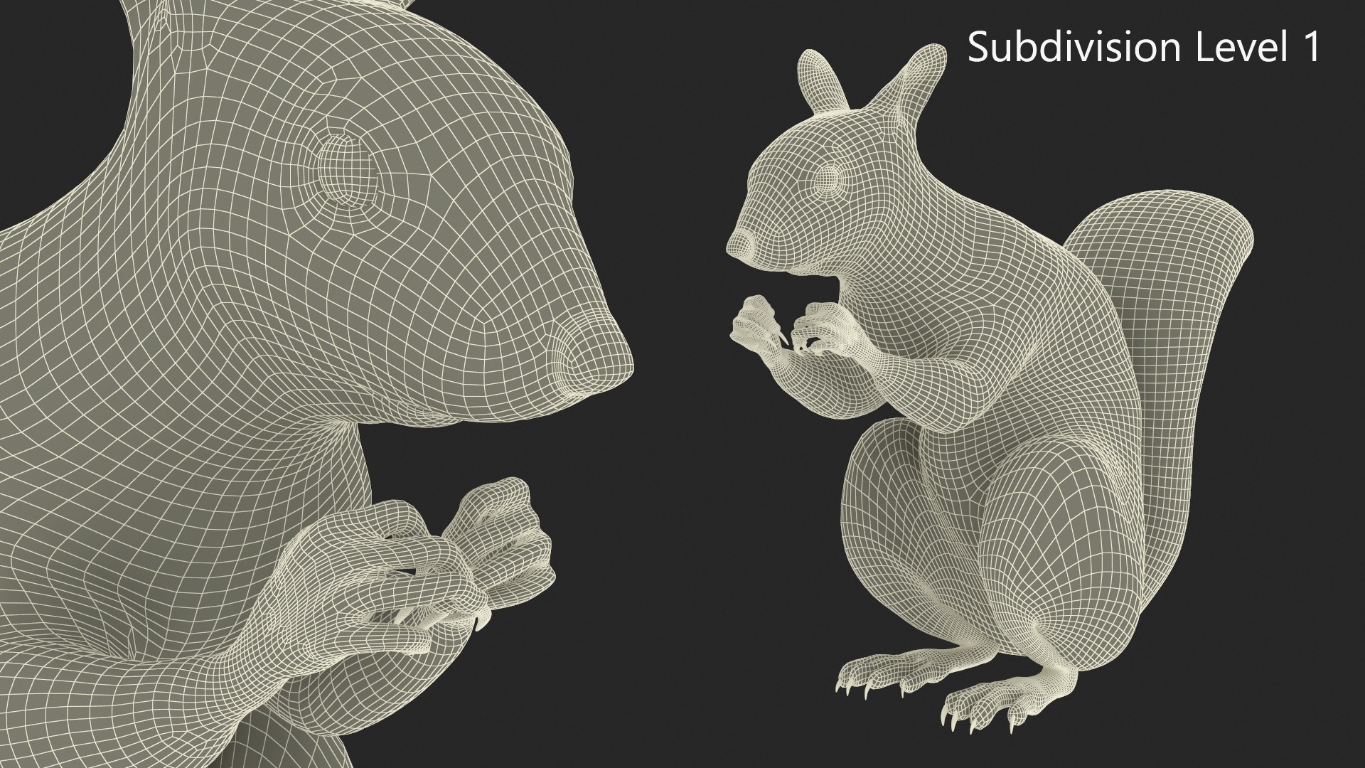 Gray Squirrel In A Sitting Pose Fur 3D Model - TurboSquid 2269720