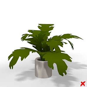 free max model plant house