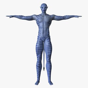 Avatar Rigged