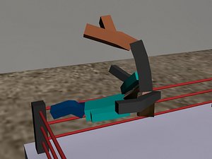 wwe stunt animation max