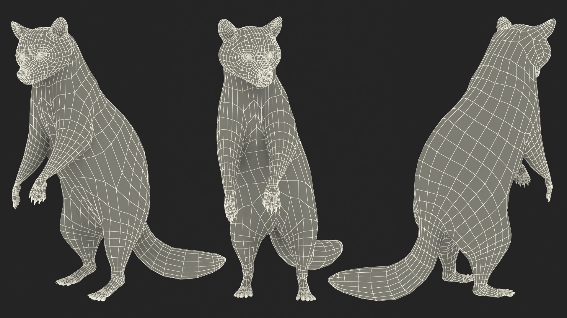 3D Raccoon with Towel Collection model https://p.turbosquid.com/ts-thumb/RH/yaBXWI/Of/raccoonwithtowelcollectionc4dmodel029/jpg/1664716233/1920x1080/fit_q87/dadef53fd4a3842ead6597006074a9bf3bb4b373/raccoonwithtowelcollectionc4dmodel029.jpg