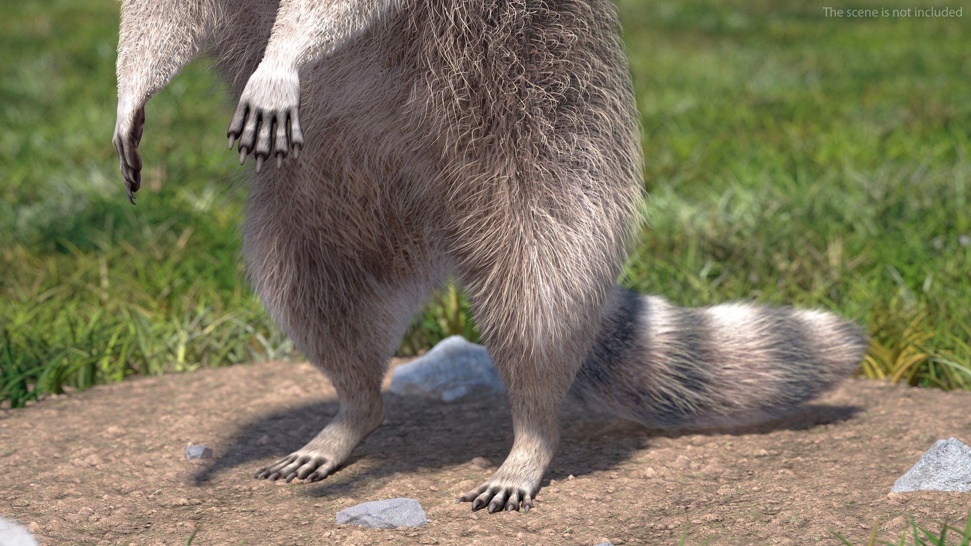 3D Raccoon with Towel Collection model https://p.turbosquid.com/ts-thumb/RH/yaBXWI/WI/raccoonwithtowelcollectionc4dmodel008/jpg/1664716154/1920x1080/fit_q87/05984d9e65025aca38ae2fd784c6931dd2f1c1cb/raccoonwithtowelcollectionc4dmodel008.jpg