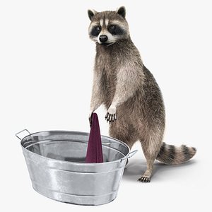 3D Raccoon with Towel Collection model