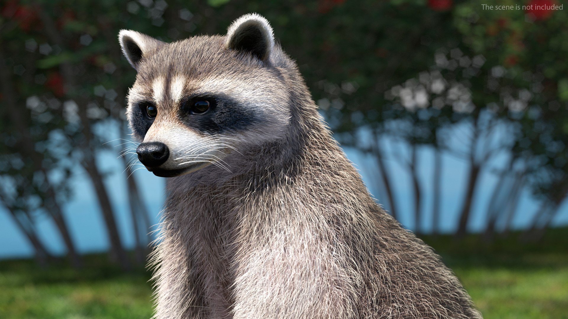 3D Raccoon with Towel Collection model https://p.turbosquid.com/ts-thumb/RH/yaBXWI/eV/raccoonwithtowelcollectionc4dmodel007/jpg/1664716149/1920x1080/fit_q87/89539d9346482369b4cd52735162064367ff3e72/raccoonwithtowelcollectionc4dmodel007.jpg