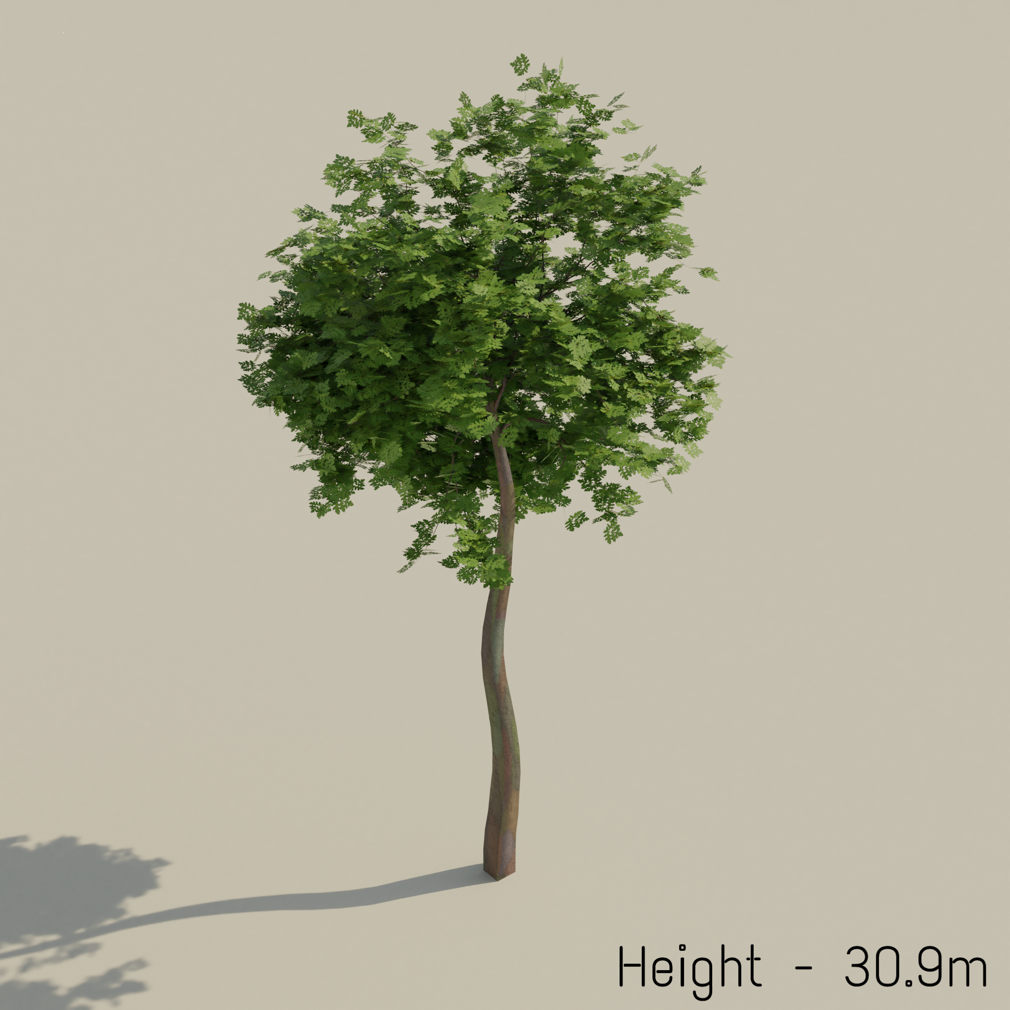 Trees realistic low-poly uv 3D model - TurboSquid 1587952