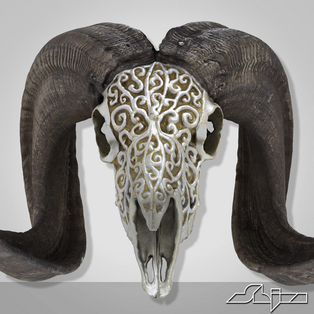 goat skull carving decorated d model https://p.turbosquid.com/ts-thumb/RI/8gG7pq/xkbeLlsC/goatskull3decorated2shiva/jpg/1420223424/1920x1080/fit_q87/ca3c2c5e23f89a52d13e533d451abed774a28a49/goatskull3decorated2shiva.jpg