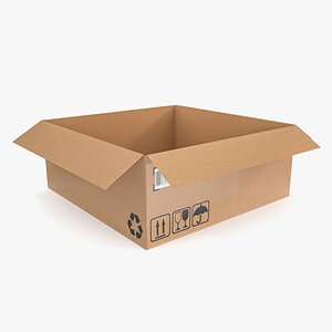 Cardboard box 21 3D model