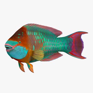 Rainbow Parrot Fish Pose 2 3D Model