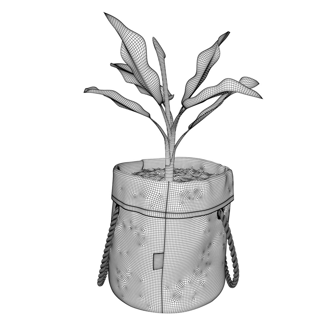 plant dieffenbachia model https://p.turbosquid.com/ts-thumb/RI/TparBI/DjGNKtFZ/4/jpg/1593766522/1920x1080/fit_q87/52df275a91d35e62889d6f74852180ec06f07dbe/4.jpg
