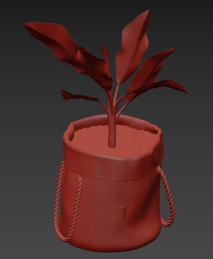 plant dieffenbachia model https://p.turbosquid.com/ts-thumb/RI/TparBI/klx7kaxs/5/jpg/1593766537/1920x1080/fit_q87/5d9210621ade28c1bc7c271e7e81bceb8114e88c/5.jpg