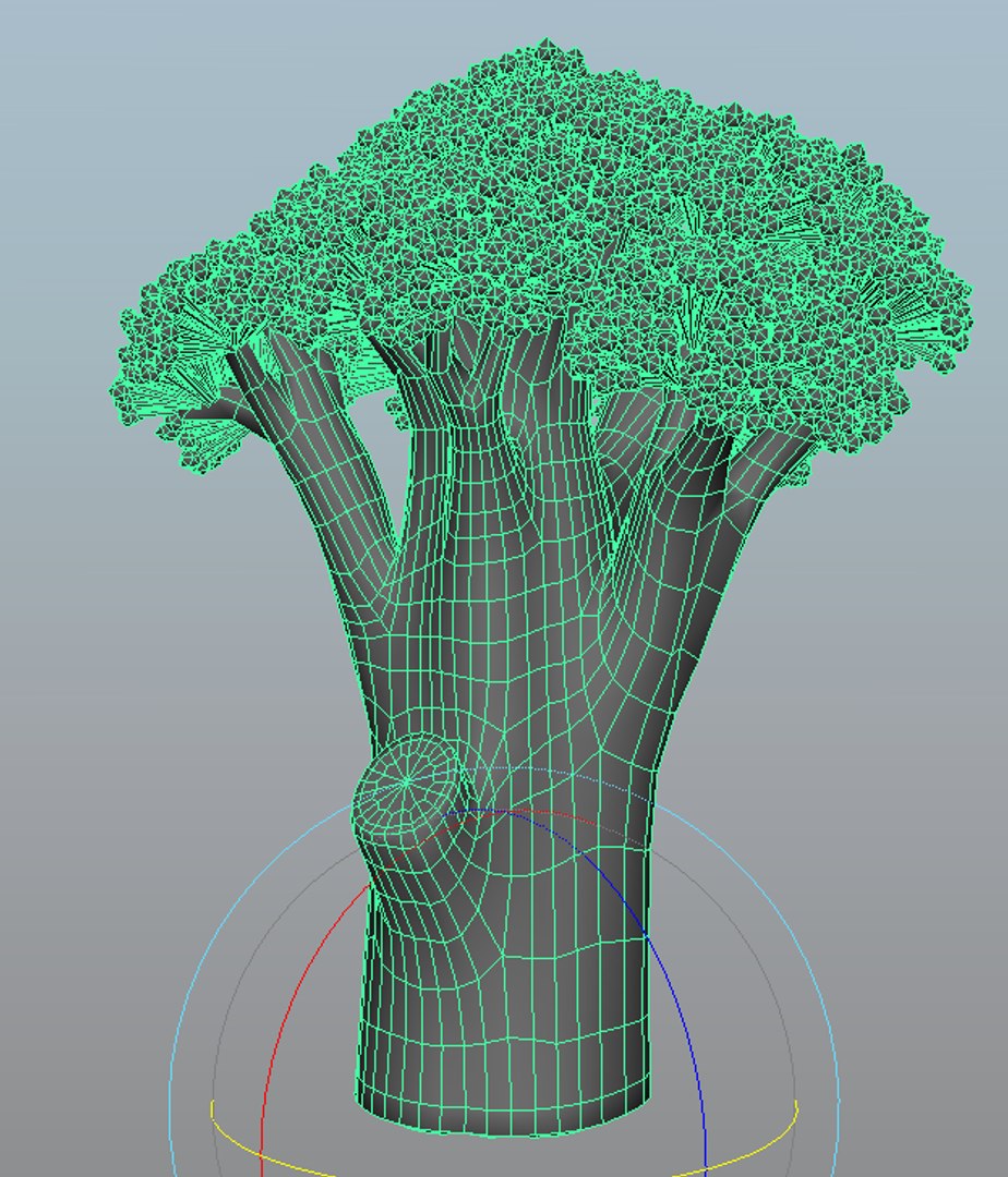maya broccoli