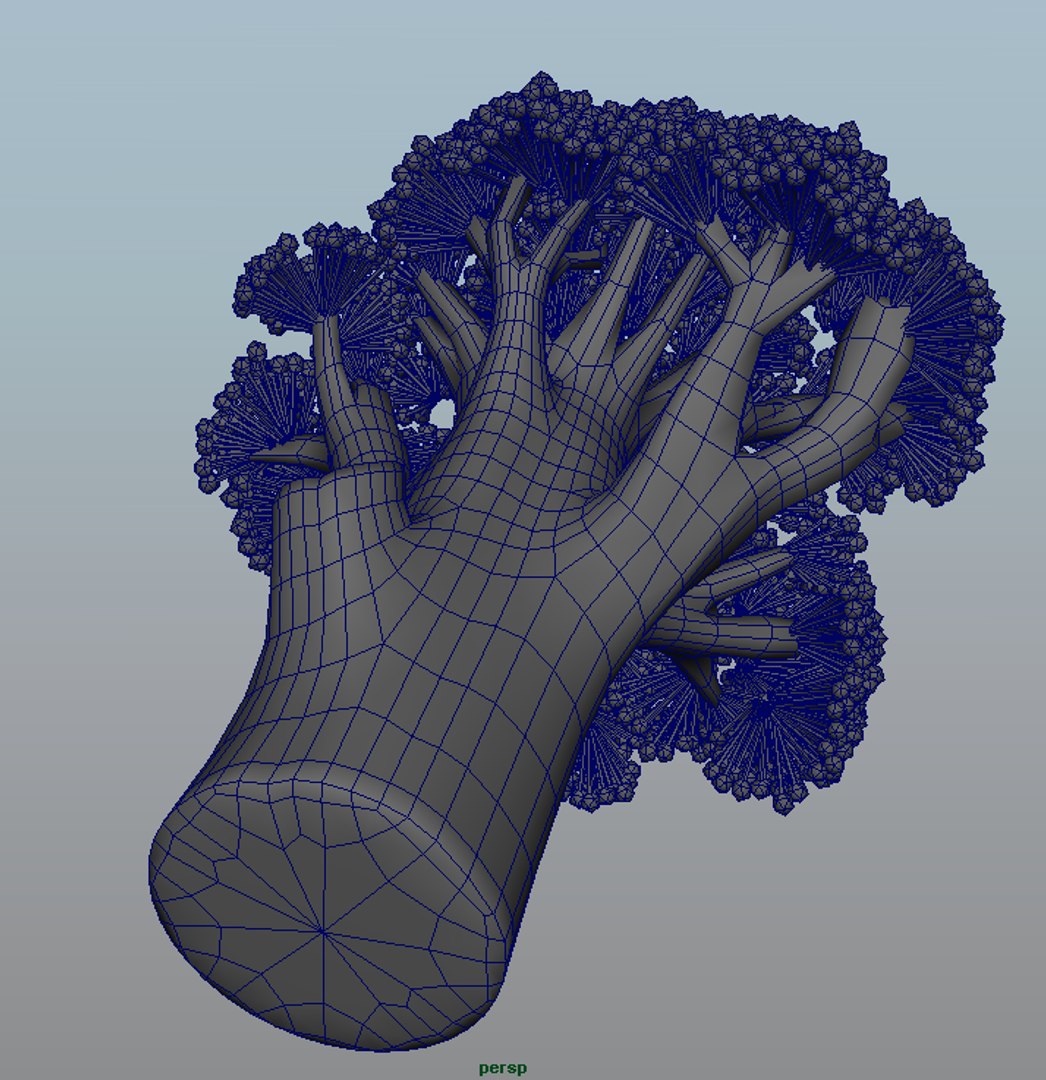 maya broccoli