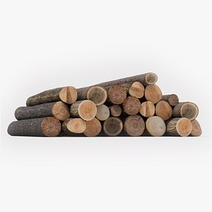 3D Log 01 model