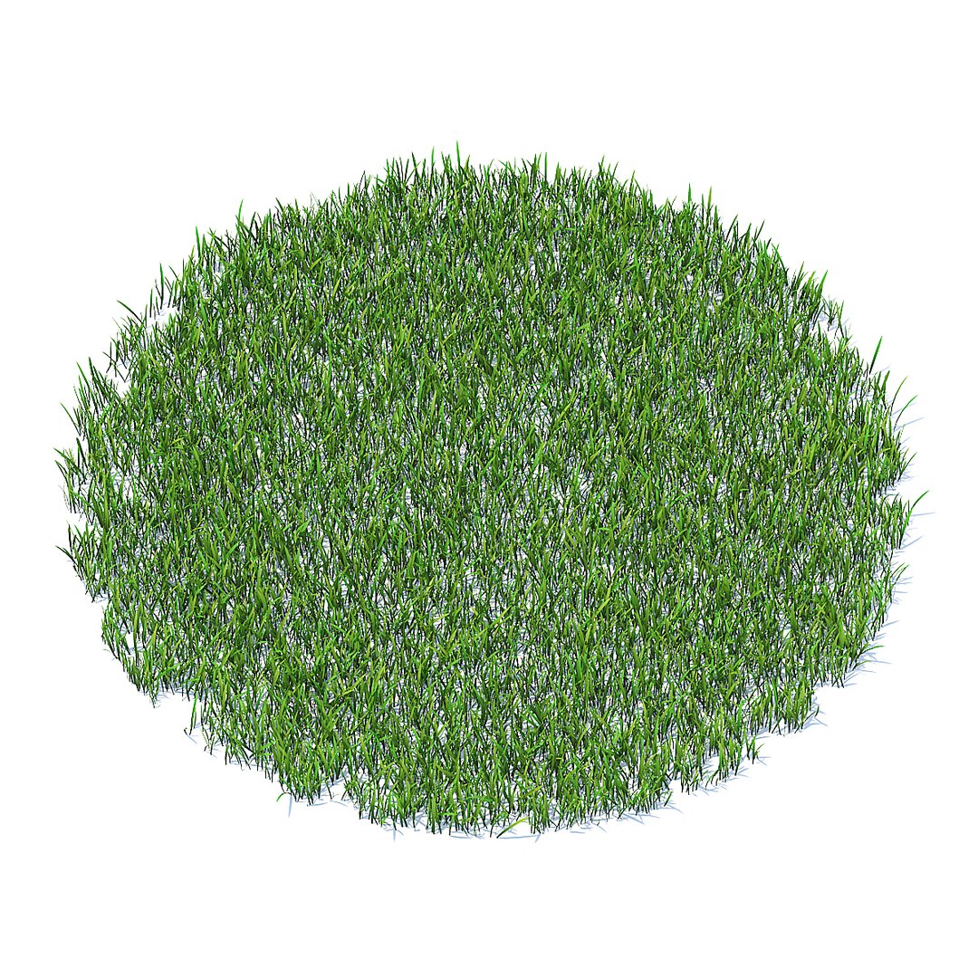 Shaped short grass model - TurboSquid 1228583