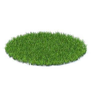 shaped short grass model