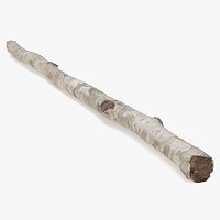 Single White Birch Pole