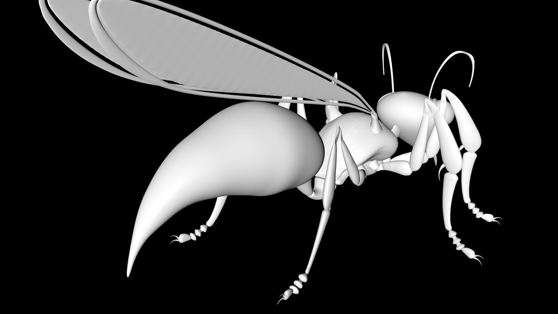 3D wasp bug insect https://p.turbosquid.com/ts-thumb/RI/mgq153/Ch/4/jpg/1612936368/1920x1080/fit_q87/2c5766ff8d2b051dd6f402e4913d7447c223c824/4.jpg