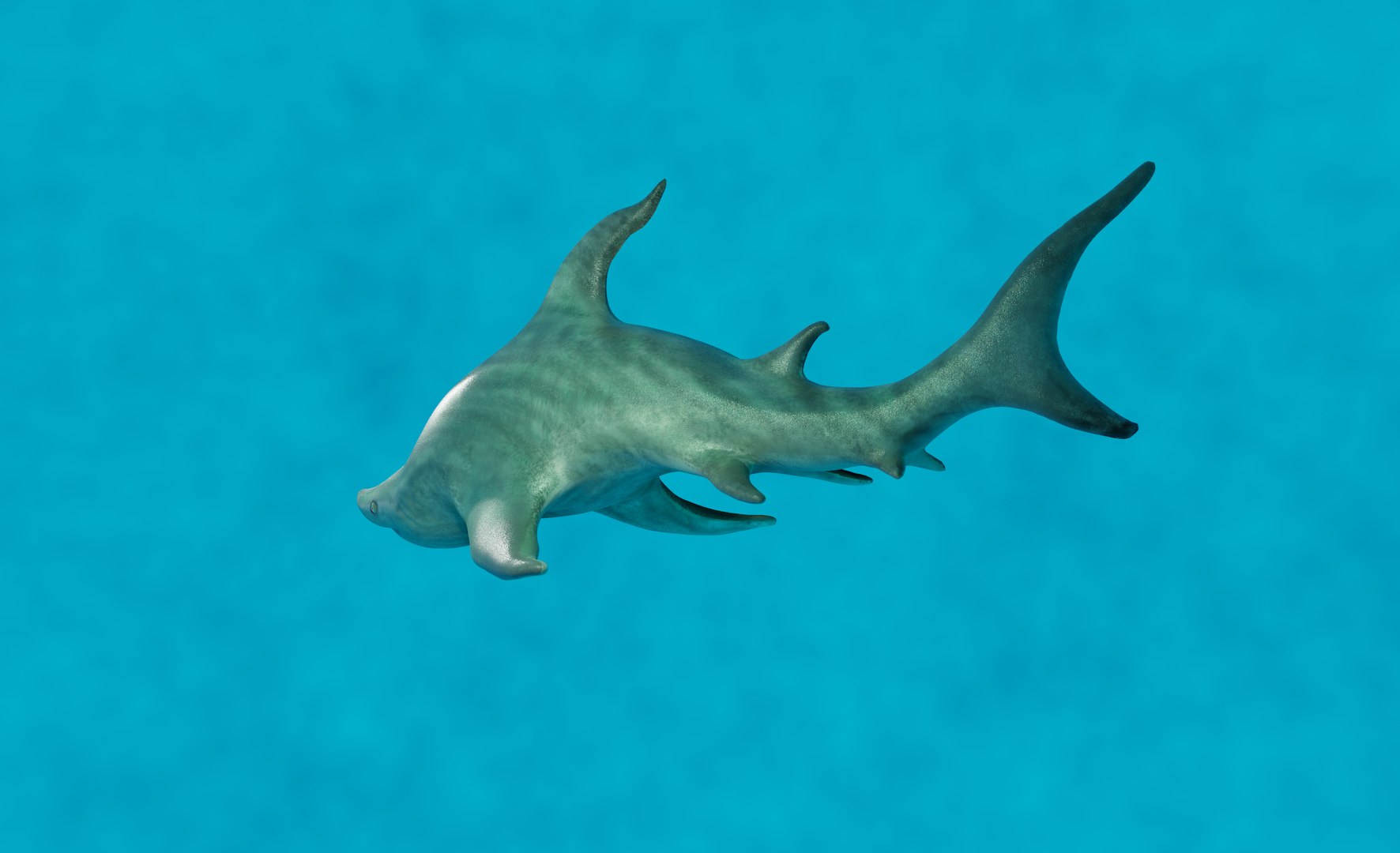 3D model green shark https://p.turbosquid.com/ts-thumb/RI/stCt0T/9P5rK6Ww/78/png/1601297601/1920x1080/fit_q87/70cf32ca990f153f99b30761d8d13ab481952966/78.jpg